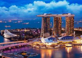 掌中彩welcome2024最新版